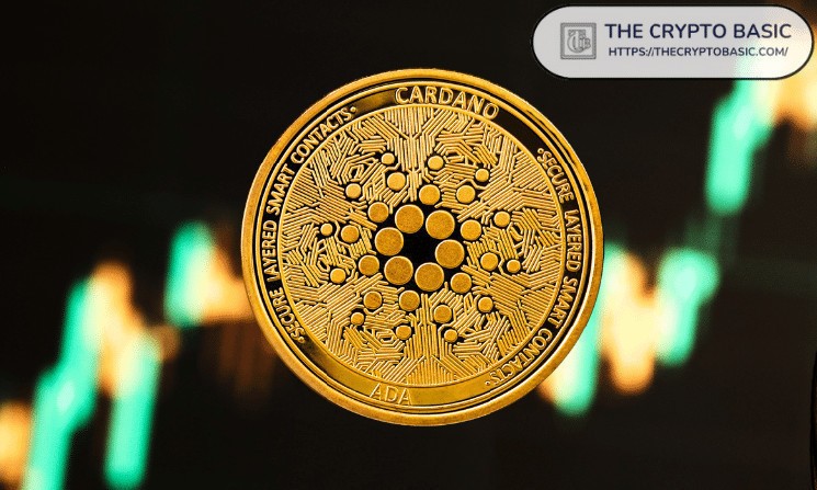 چرا بیشتر صرافی های ارز دیجیتال عمر کوتاهی دارند؟