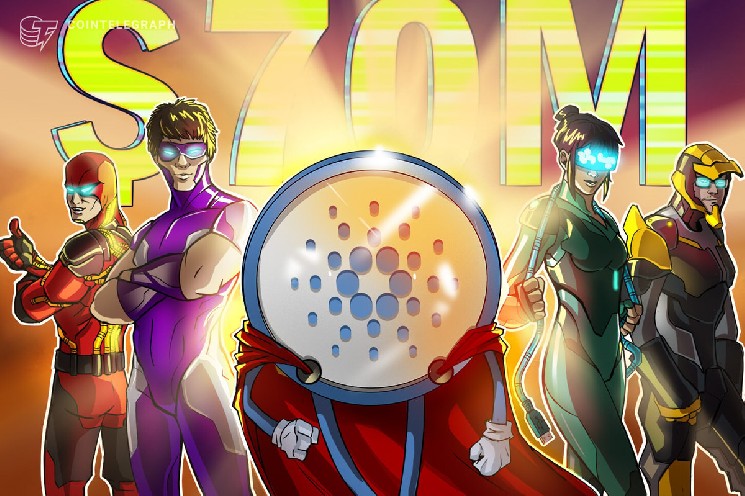 چرا بیشتر صرافی های ارز دیجیتال عمر کوتاهی دارند؟