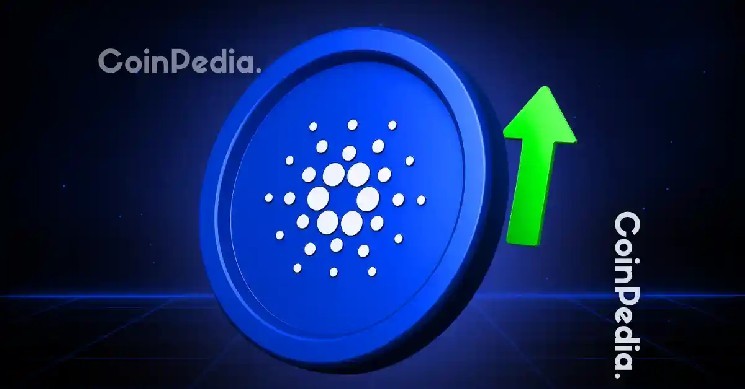 چرا بیشتر صرافی های ارز دیجیتال عمر کوتاهی دارند؟