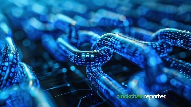 کاهش چشمگیر فعالیت‌های توسعه‌دهندگان در بلاکچین‌های برتر: اتریوم و BNB در معرض بحران!