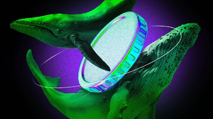 چرا بیشتر صرافی های ارز دیجیتال عمر کوتاهی دارند؟