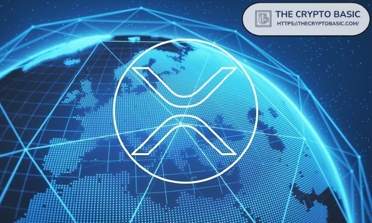 چرا بیشتر صرافی های ارز دیجیتال عمر کوتاهی دارند؟