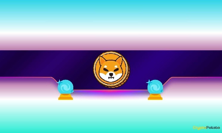 چرا بیشتر صرافی های ارز دیجیتال عمر کوتاهی دارند؟