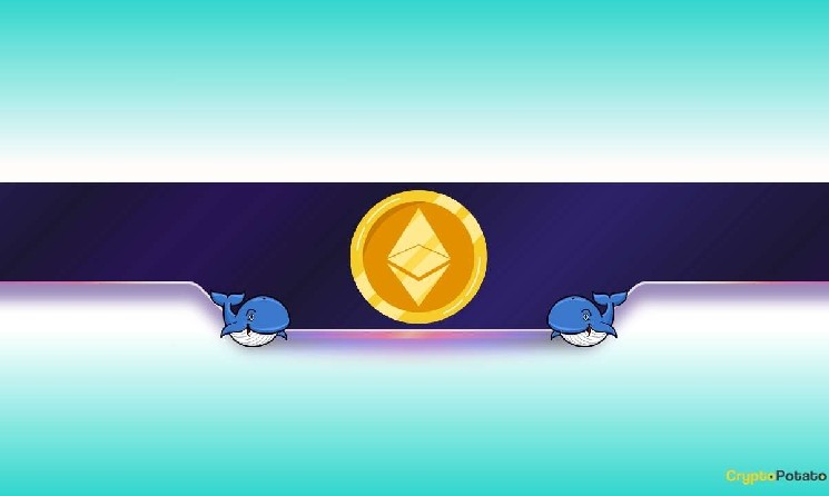 چرا بیشتر صرافی های ارز دیجیتال عمر کوتاهی دارند؟