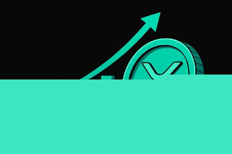 چرا بیشتر صرافی های ارز دیجیتال عمر کوتاهی دارند؟