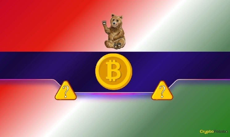 چرا بیشتر صرافی های ارز دیجیتال عمر کوتاهی دارند؟