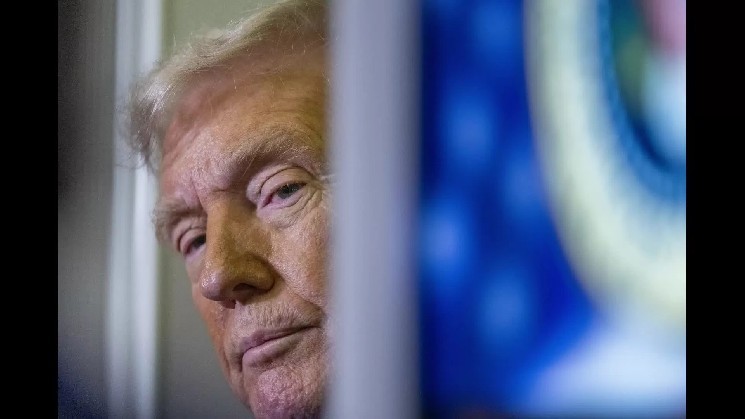 چرا بیشتر صرافی های ارز دیجیتال عمر کوتاهی دارند؟