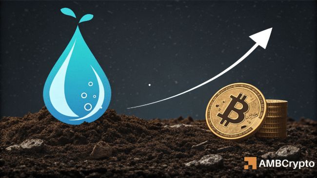 چرا بیشتر صرافی های ارز دیجیتال عمر کوتاهی دارند؟