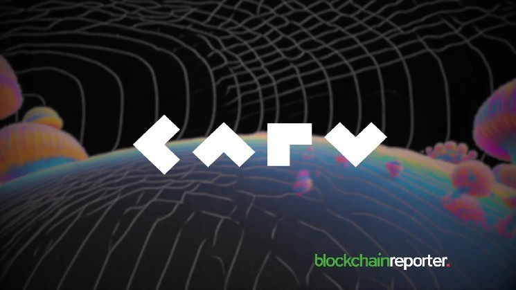 چرا بیشتر صرافی های ارز دیجیتال عمر کوتاهی دارند؟