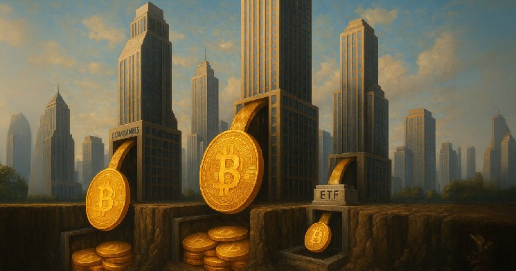 چرا بیشتر صرافی های ارز دیجیتال عمر کوتاهی دارند؟