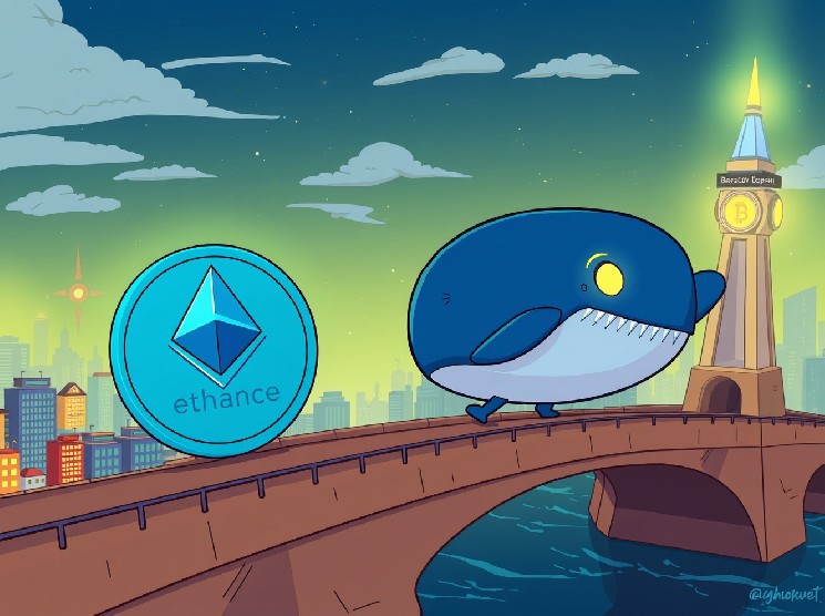 چرا بیشتر صرافی های ارز دیجیتال عمر کوتاهی دارند؟