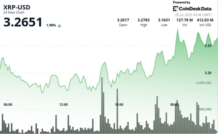 چرا بیشتر صرافی های ارز دیجیتال عمر کوتاهی دارند؟
