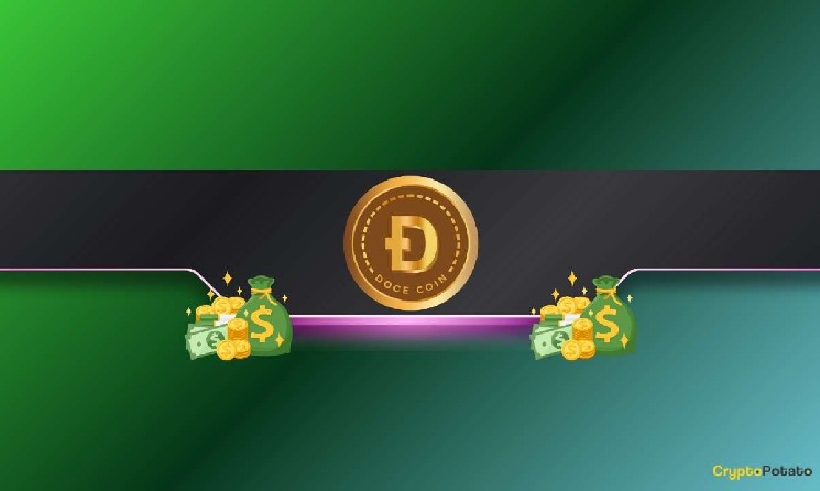 چرا بیشتر صرافی های ارز دیجیتال عمر کوتاهی دارند؟